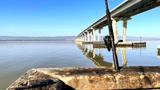 Fishing sf bay dumbarton bridge [upl. by Yelsna650]