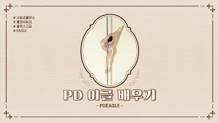 폴댄스 고급Eng sub 이글Eagle 배우기 [upl. by Darce27]