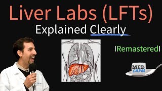 Liver Function Test Interpretation LFTs  Liver Enzymes Remastered Bilirubin GGT Alk Phos [upl. by Zack12]