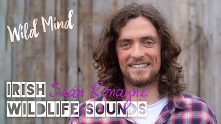 Seán Ronayne  Irish Wildlife Sounds  Talk [upl. by Goebel]