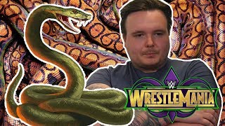 WWE WrestleMania 34 Punishment Part Two Snake My Day [upl. by Affrica]