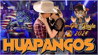 HUAPANGOS Pa BAILAR 2024💃🏽 Huapangos Mix 2024💃🏽 Huapangos Norteños [upl. by Ahsiek429]