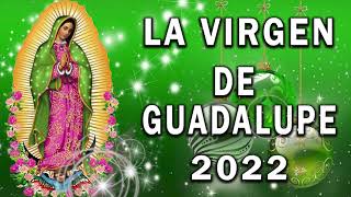 Cántos a la virgen de Guadalup  La Virgen De Guadalupe 2022  Los Berrenditos Cantos y Alabanzas [upl. by Ardnajela]