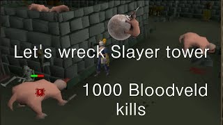 Runescape 2007  Lets wreck Slayer tower 1000 Bloodveld kills [upl. by Orlando]