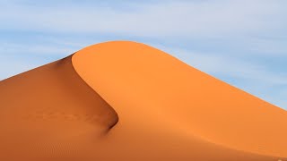 The Sahara desert  Ecosystems [upl. by Iglesias]