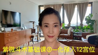 紫微斗术，化禄入十二个宫位的阐述 [upl. by Cleo]