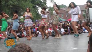 ATL GREEK PICNIC 2010 AKA ALPHA KAPPA ALPHA STROLLING [upl. by Onairelav]