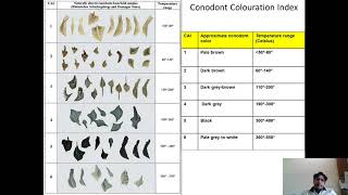 Microfossils as Thermal Metamorphic Indicators [upl. by Pigeon151]