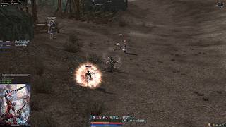 Lineage 2  Skirmish with the enemies in Varka at night  Elmorelab Teon x1 C4 [upl. by Ossy]