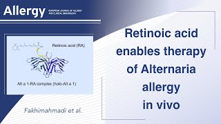 Retinoic acid enables therapy of Alternaria allergy in vivo [upl. by Anytsyrk]