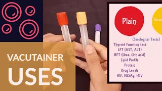 Blood Collection Vacutainer  Uses  Ateev Chandna [upl. by Eerot]