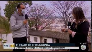 Entrevista TV Integração sobre 11 casos de chikungunya em BD [upl. by Ward]