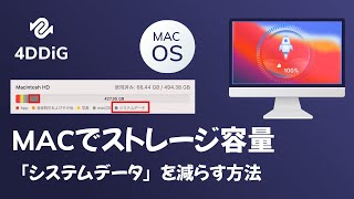 Macでストレージ容量の「システムデータ」を減らす方法  空き容量を増やす [upl. by Coop]