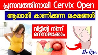 Cervix Open Symptoms Malayalam  Last Month Of Pregnancy Symptoms [upl. by Daffie588]