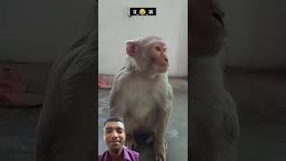 Suraj comedy surajroxfunnyvibeo shortsvideo 😂😂😂😂😂😂 [upl. by Liahcim367]