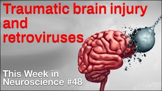 TWiN 48 Traumatic brain injury and retroviruses [upl. by Ybeloc]