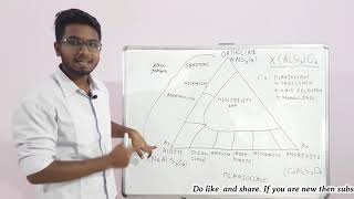 Feldspar group  Mineralogy  for NETCSIR  SET  GATE  JAM Geology [upl. by Picker]