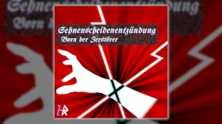 Born der Zerstörer – Sehnenscheidenentzündung [upl. by Sinylg579]