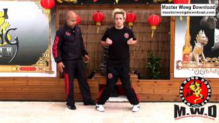 wing chun basic lesson 1 [upl. by Mariellen255]