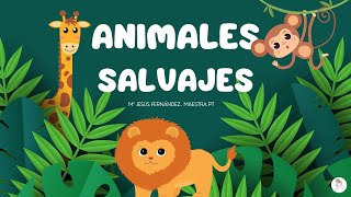 Animales salvajes para niñosas [upl. by Asirral]