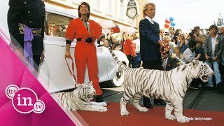 Siegfried amp Roy Darum griff der Tiger damals wirklich an [upl. by Louanne208]