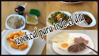 Ideas de comida con 1200kcal para todo el día  Lesly Alemán [upl. by Aleahs718]