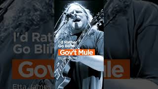 quotId Rather Go Blindquot  Govt Mule Etta James Cover [upl. by Ellora]