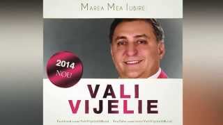 VALI VIJELIE  E bine bine hit 2014 [upl. by Johnnie256]