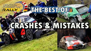 WRC Central European Rally  Crashes  Mistakes and Best Moments [upl. by Obola]