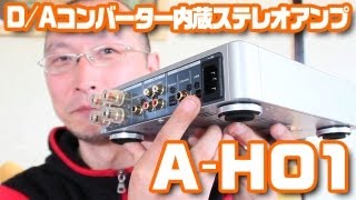 USB接続可能なステレオアンプ「AH01」 [upl. by Ystap]