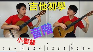 吉他教學 音階 初學者必看 小蜜蜂 fingerstyle 古典吉他課程 兒童吉他 學吉他 tab譜 吉他cover 跟自己合奏 [upl. by Chilcote307]