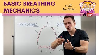 Basic Breathing Mechanics [upl. by Eduino136]