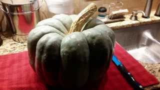 How to Prepare and Roast Jarrahdale Pumpkin [upl. by Flor176]