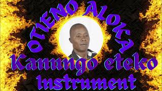 Kanungo Eteko Otieno Aloka Instrumental [upl. by Atikihc]