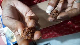 Unboxing Isha Rudraksha diksha [upl. by Lennon]