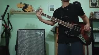 The Strokes  Under Cover Of Darkness Bass cover [upl. by Gnouc]