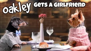 MISSION DATE NIGHT  Funny Wiener Dog Date [upl. by Wohlen]