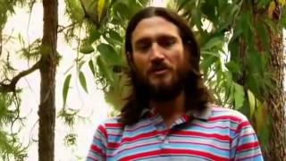 John Frusciante Interview on Creativity amp Inspiration [upl. by Harold900]