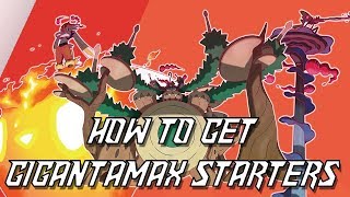 HOW TO GET GIGANTAMAX STARTER POKEMON GALAR STARTERS [upl. by Noirda]