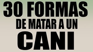 30 Formas de matar a un Cani [upl. by Eileme]