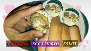 Balot Cracking Duck Egg 🦆🥚🥚🐣🐣ASMR  shortslive shortsfeed trending [upl. by Acisey673]