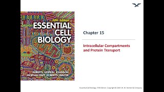 Intracellular compartments and Transport [upl. by Zaremski]