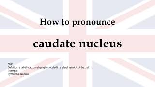 How to pronounce caudate nucleus  meaning [upl. by Gnoh]