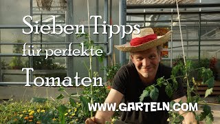 Tomaten pflanzen  Sieben Tipps für perfekte Tomaten 🍅 in eurem Garten und auf dem Balkon [upl. by Eelesor]