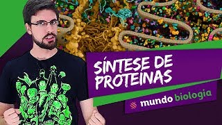 🔬 Citologia 37 Síntese Proteica  Biologia  ENEM [upl. by Kendricks]