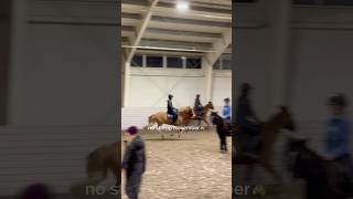 no stirrup November🐴 horse equestrain equestrian horsefan riding horseriding [upl. by Aiel326]