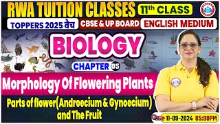 Class 11 Biology Chapter 5  Morphology Of Flowering Plants By Vandana Mam [upl. by Anerroc]