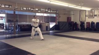 Uechi Ryu Karate Seiryu Kata [upl. by Freeman]