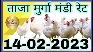 14 फरवरी 2024 आज का मुर्गा मंडी का ताजा भाव  Today broiler chicken rate today  Agro Farmz [upl. by Tiebold]