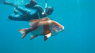 Spearfishing Western Australia Its a Life Style [upl. by Cantu]